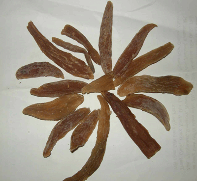 Khoai gieo