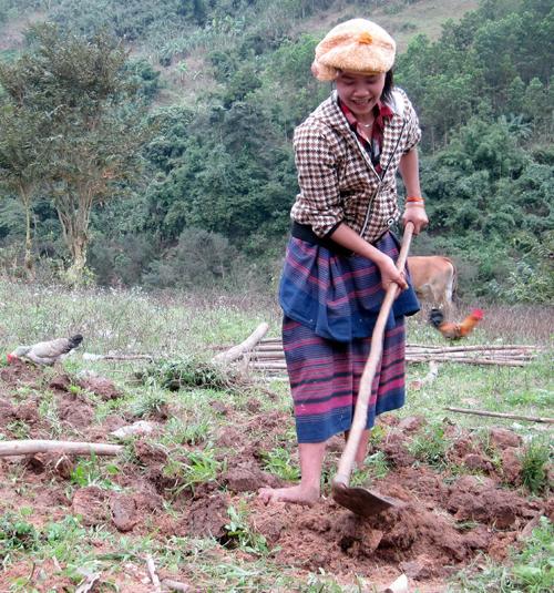 Trang thông tin nội bộ Văn phòng UBND tỉnh Quảng Bình - Nhà em đã quen làm vườn lấy cái ăn nên không còn đi phá rừng nữa