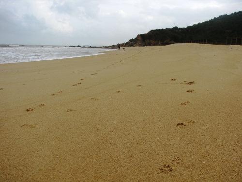 Nhảy trên biển Đá Nhảy