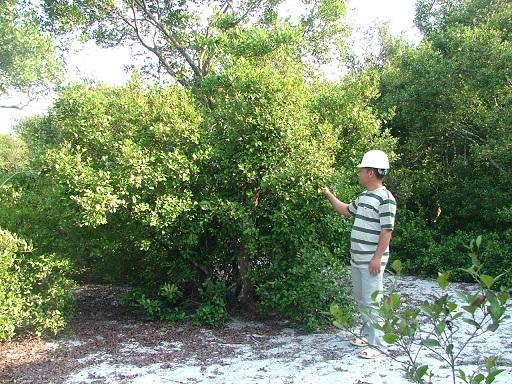 đặc biệt, khu rừng trâm bầu, tồn tại, 5 thế kỉ, Quảng Bình